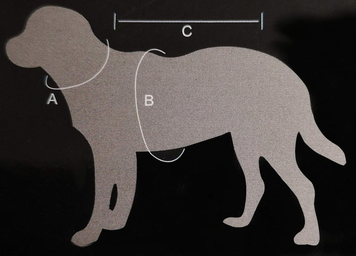 JEGGO Hundemantel Wasserdicht Allwetter Regen Jacke Hunde Weste XXS XXL (L, Schwarz/Grau), L Schwarz