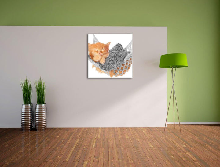 Pixxprint Katzenbaby in Hängematte als Leinwandbild Quadratisch/Grösse: 70x70 / Wandbild/Kunstdruck/