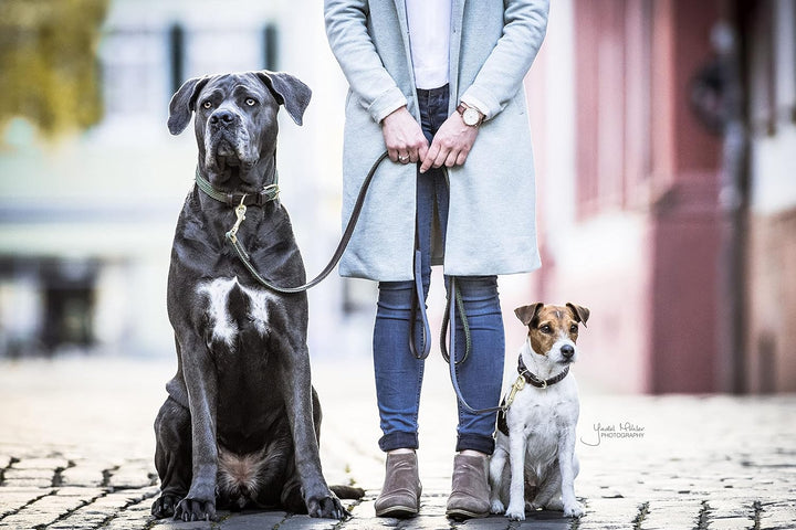 Kentucky Hundeleine Nylon geflochten  - Dunkelblau - 150 cm navy, navy