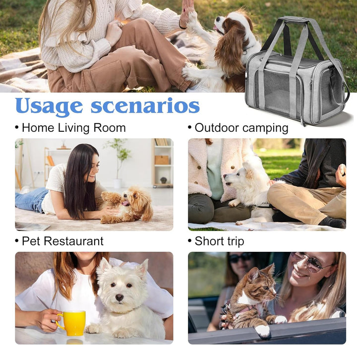 Transporttasche Für Katze Hund, Katzentransporttasche, Faltbare Katzentransportbox, Tragbar Faltbare
