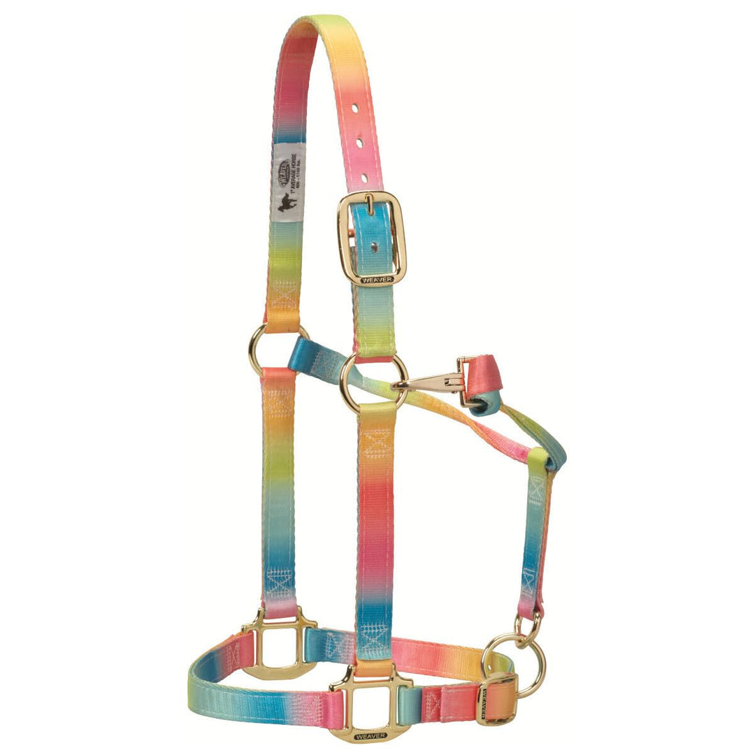 Weaver Leather Verstellbares Kinn- und Halfter aus Polyester in Regenbogenfarben. Average Horse rege