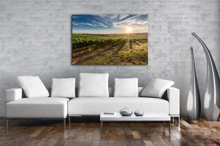 Traubenfeld in der Toskana Format: 100x70 als Leinwand, Motiv fertig gerahmt auf Echtholzrahmen, Hoc