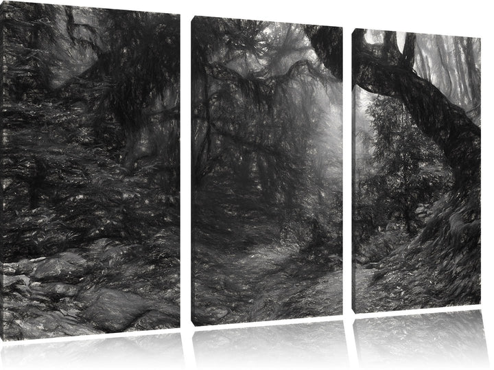 Pixxprint Mystischer Regenwald als Leinwandbild/Grösse: 3 Teilig (120x80 cm) cm/Wandbild/Kunstdruck/