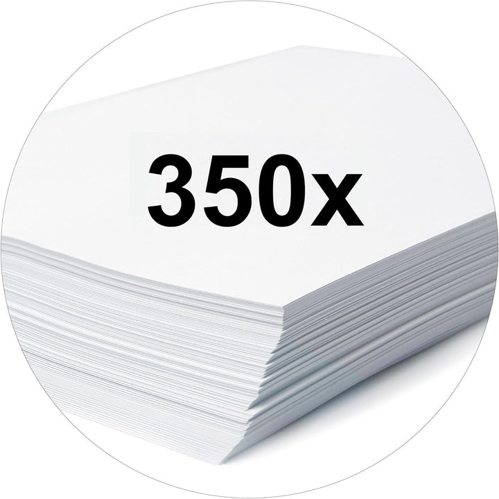 Original Falken 25er Pack Hängetasche UniReg. Made in Germany. Aus Recycling-Karton für DIN A4 mit L