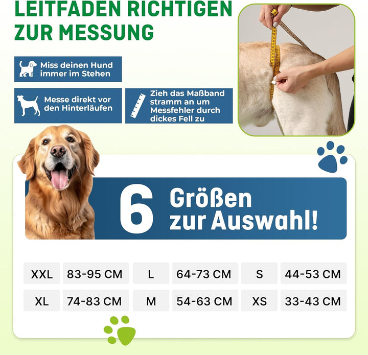 Hunde Tragehilfe XL Blau/ Hunde Gehhilfe / Hunde Rehahilfe, das Hilfsgeschirr für Probleme an der Wi