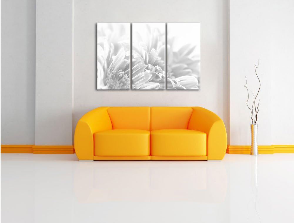 Pixxprint Gerbera-Blume / 3-Teilig/Gesamtmass 120cm Leinwandbild bespannt auf Holzrahmen/Wandbild Ku