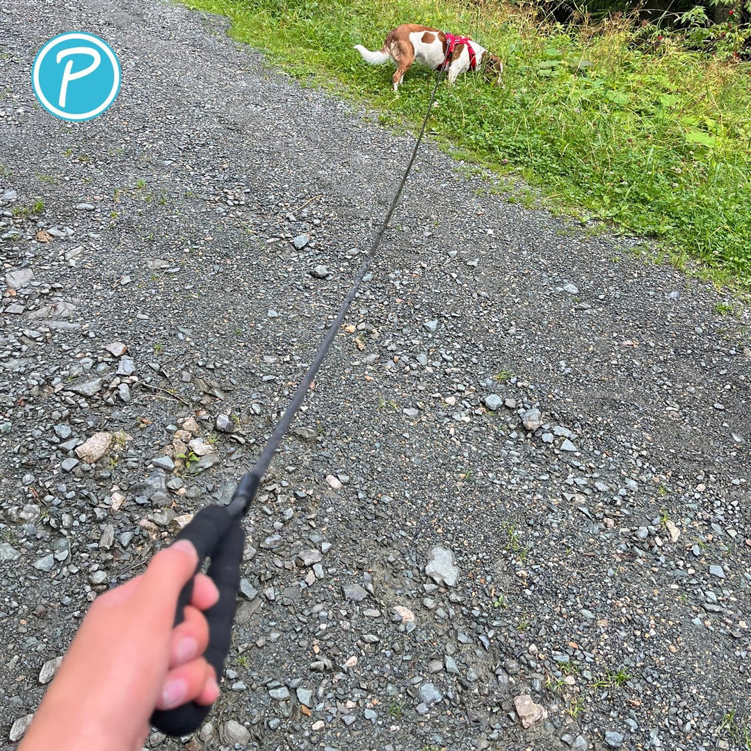 Petlando PVC-Trekkingleine schwarz rund 5 m /0,8 cm Durchmesser mit Handschlaufe, extrem robust