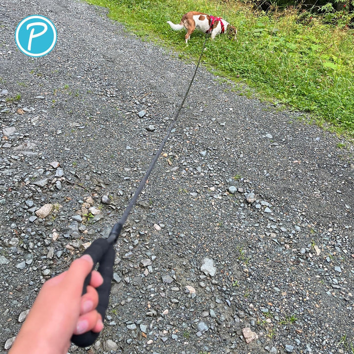 Petlando PVC-Trekkingleine schwarz rund 5 m /0,8 cm Durchmesser mit Handschlaufe, extrem robust