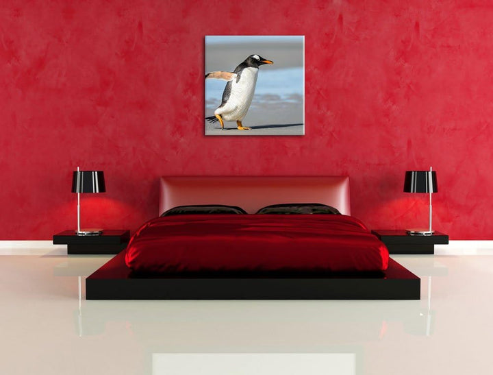 Pinguin am Strand, Format: 70x70 auf Leinwand, XXL riesige Bilder fertig gerahmt mit Keilrahmen, Kun