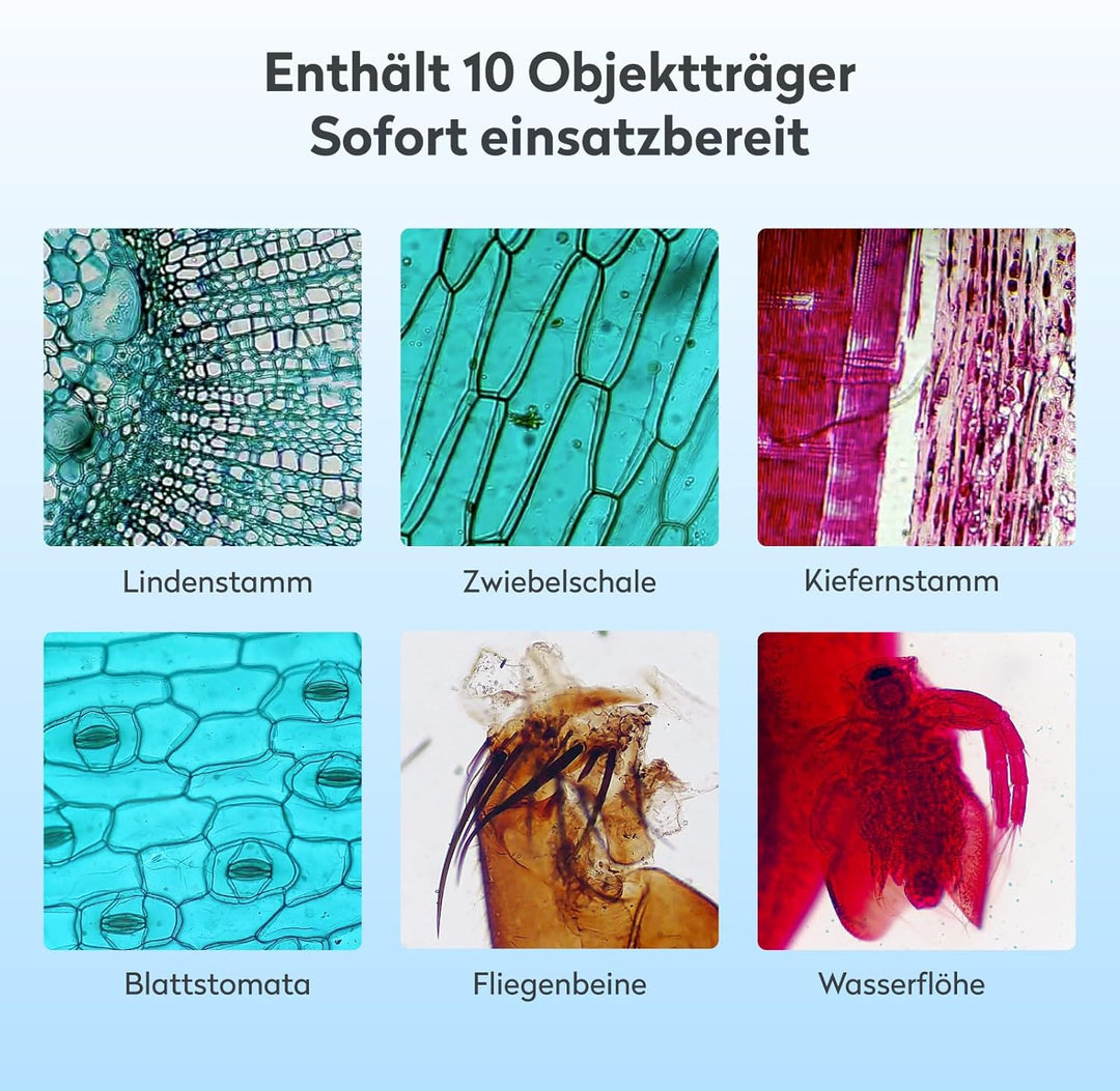 USB Digitales Mikroskop für Kinder Erwachsene, MatataStudio MT3-4 1200x Professionelles Biologisches