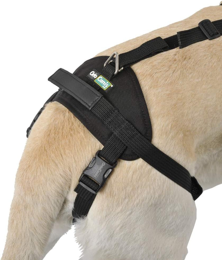 Ortocanis - Ganzkörper-Hundegeschirr zur Unterstützung von Vorder- und Hinterbeine, Grösse S Grösse