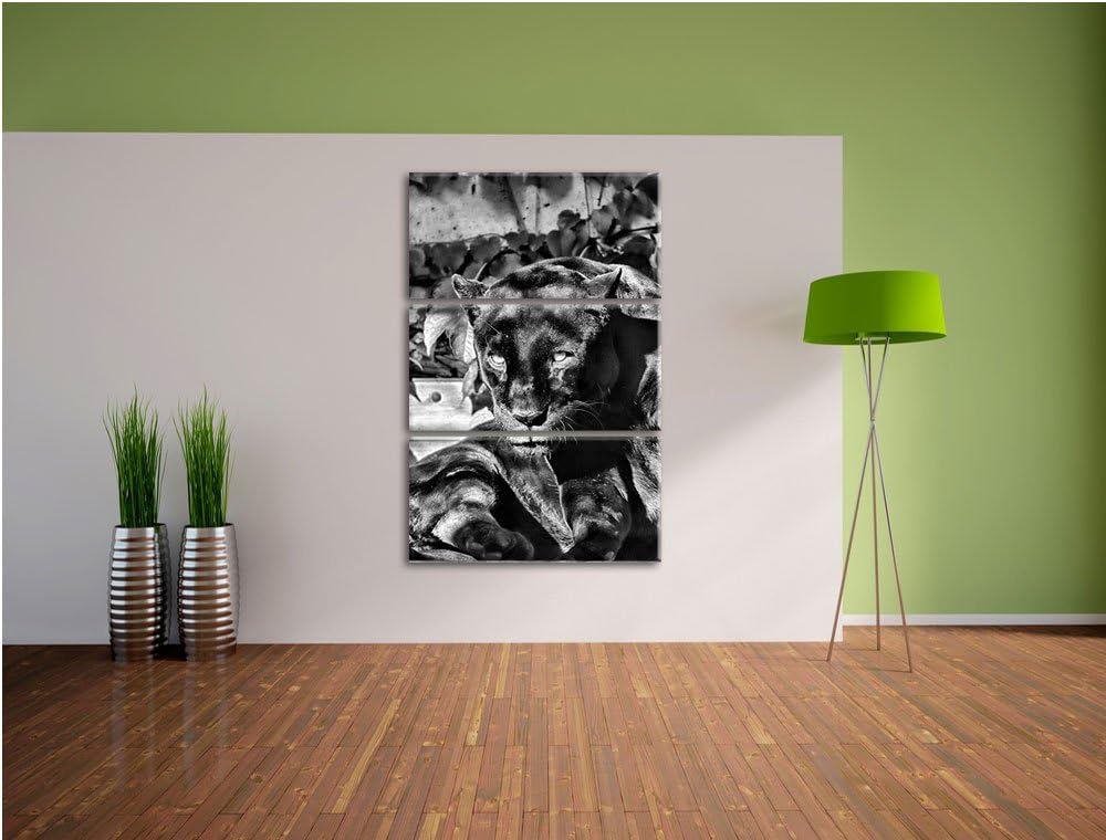 Pixxprint Monocrome, schwarzer Panther 3-Teiler Leinwandbild 120x80 Bild auf Leinwand