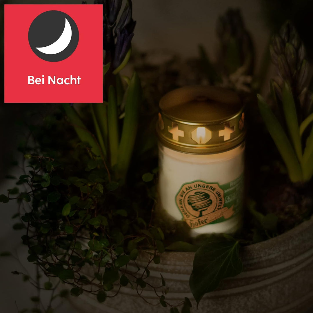HOFER Nachfüllungen für Grabkerze aus Glas, WALDLICHTUNG, 36 Stk. | Trauerkerzen, Friedhofskerze mit