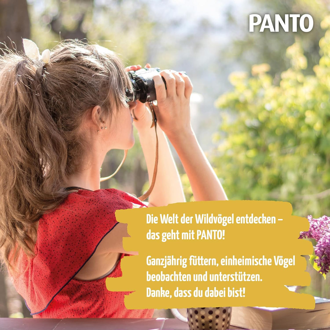 PANTO Sonnenblumenkerne geschält 25 kg – Wildvogelfutter aus reinen, schalenlosen Sonnenblumenkernen