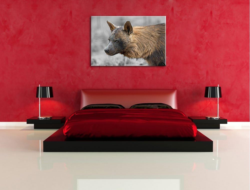 anmutige Hyäne im Wildgras schwarz/weiss auf Leinwand, XXL riesige Bilder fertig gerahmt mit Keilrah