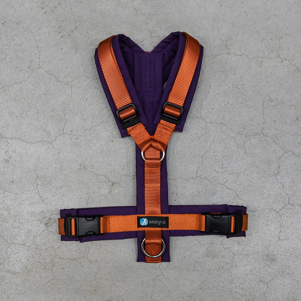 Anny-X Brustgeschirr Fun | Limited Edition Pflaume trifft Zimt | Hundegeschirr Grösse XXS (Brustumfa