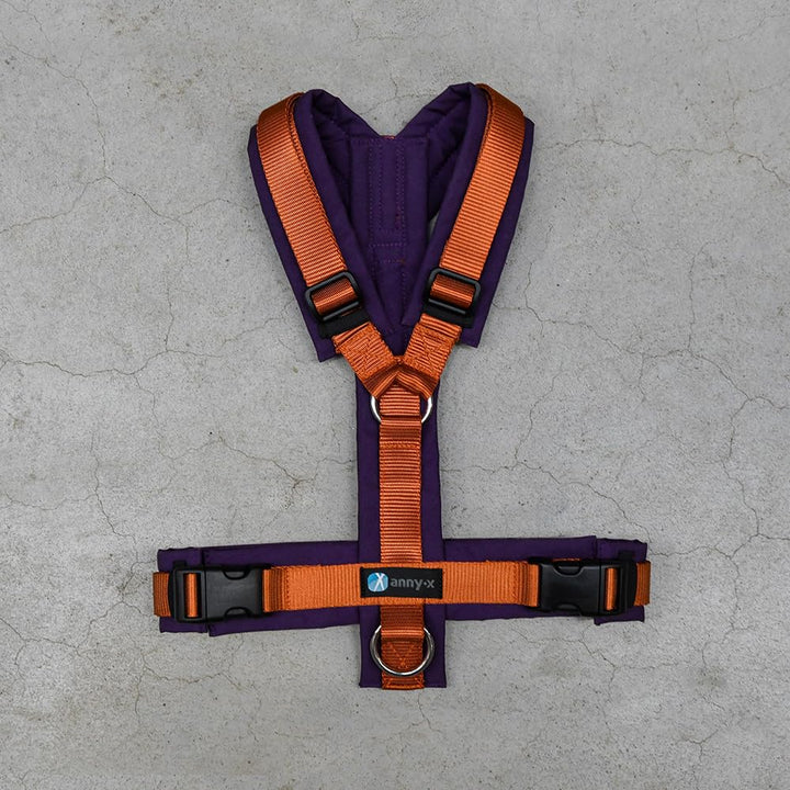 Anny-X Brustgeschirr Fun | Limited Edition Pflaume trifft Zimt | Hundegeschirr Grösse XXS (Brustumfa
