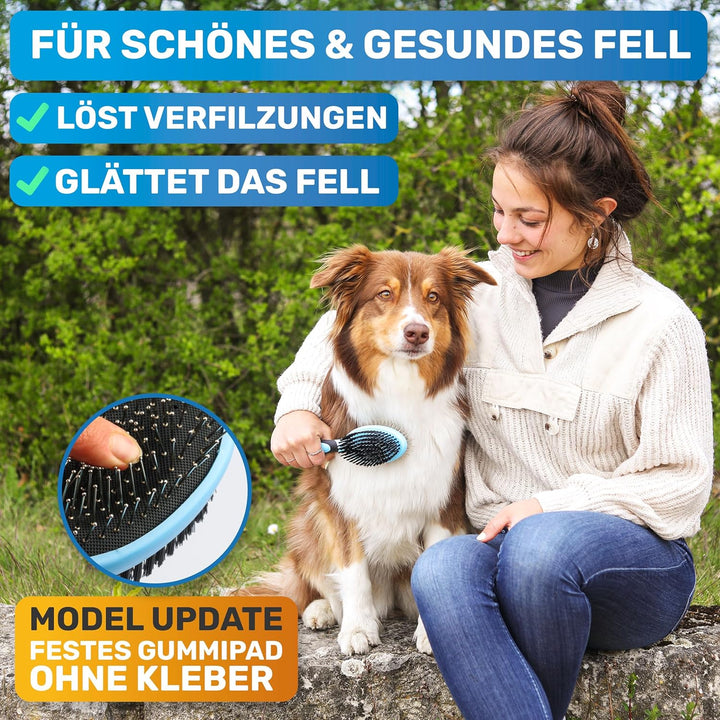 BluePet "DoppelDecker" 2in1 Hundebürste für Langhaar & Kurzhaar - Auch für Welpen & Katzen - Glätten