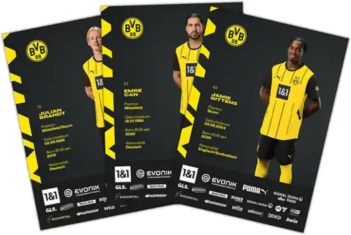 Dortmund Borussia Autogrammkarten Team 2024/25 unsigniert Sammelkarten Autographs Card BVB 09