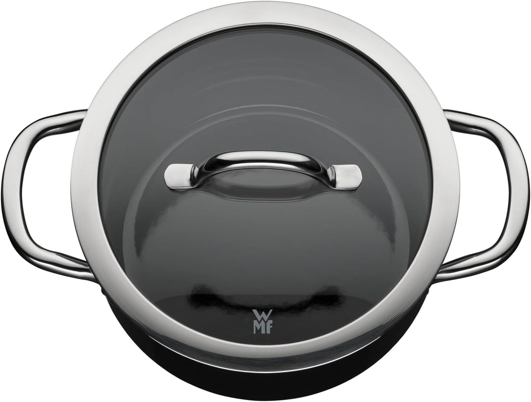WMF Fusiontec Inspire Kochtopf gross, 20 cm, Glasdeckel, Fleischtopf Induktion, 3,7l, High-Tech Kera