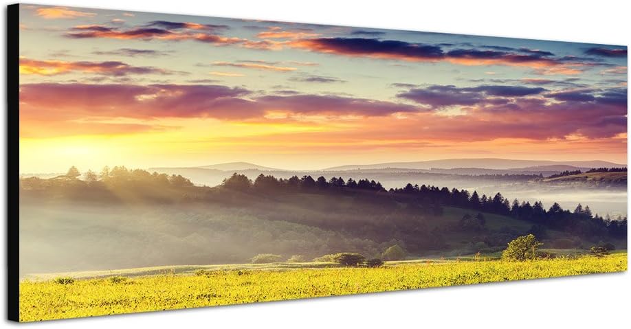 Paul Sinus Art Panoramabild auf Leinwand und Keilrahmen 150x50cm Ukraine Wald Wiesen Wolken Morgenso