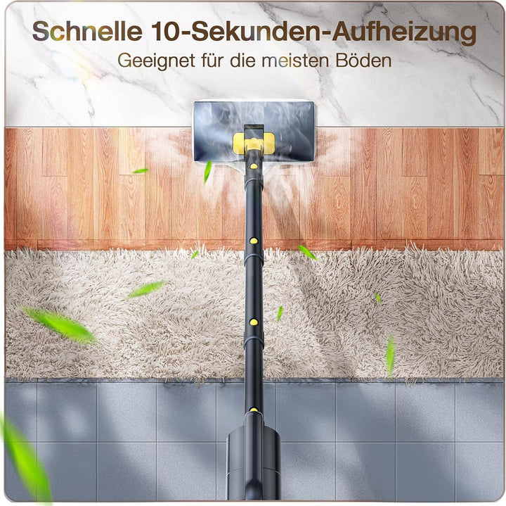 Dampfreiniger mit abnehmbarem Handdampfreiniger Gray 1, Gray 1