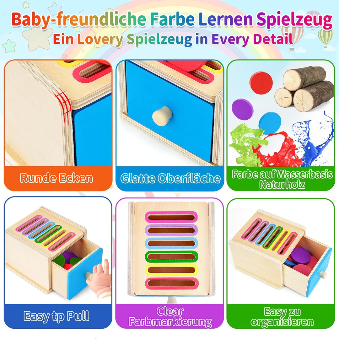 FCSONU Kinder Montessori Spielzeug ab 1 2 3 Jahre Jungen Mädchen, Holzspielzeug ab 1 Jahr, Farbe Sor