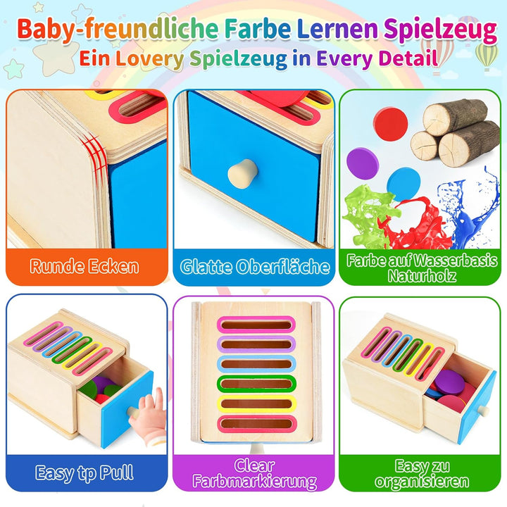 FCSONU Kinder Montessori Spielzeug ab 1 2 3 Jahre Jungen Mädchen, Holzspielzeug ab 1 Jahr, Farbe Sor