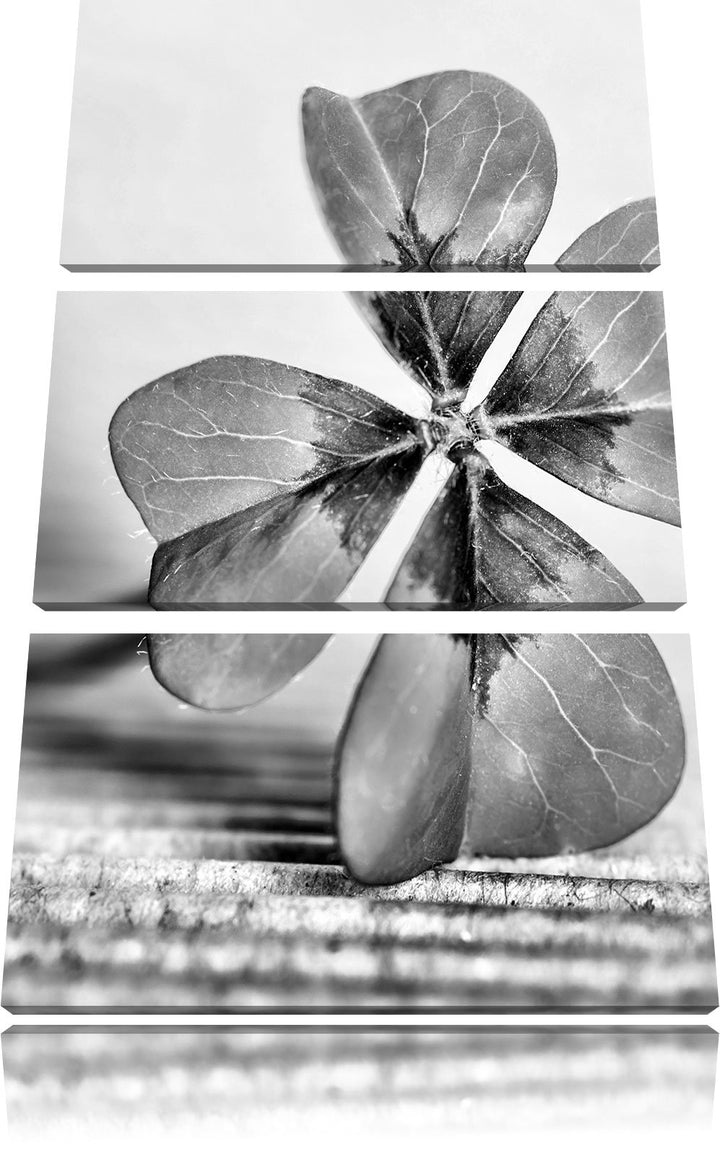 Pixxprint Glücks Kleeblatt mit 4 Blättern als Leinwandbild | Grösse: 3 Teilig (120x80) | Wandbild| K