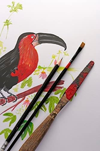 Clairefontaine 96535C PaintOn Block (250 g, 100% extra weisses Zellulosepapier mit leichter Körnung,