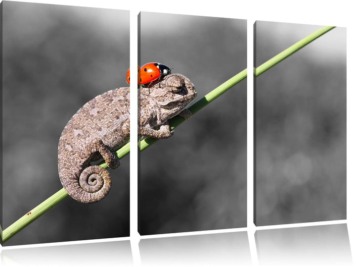 Pixxprint Süsser Gecko mit einem Marienkäfer als Leinwandbild | Grösse: 3 Teilig (120x80) | Wandbild