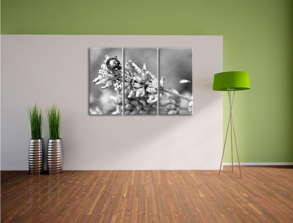 Pixxprint Kleiner Marienkäfer auf Lavendel Kunst B&W 3-Teiler Leinwandbild 120x80 Bild auf Leinwand