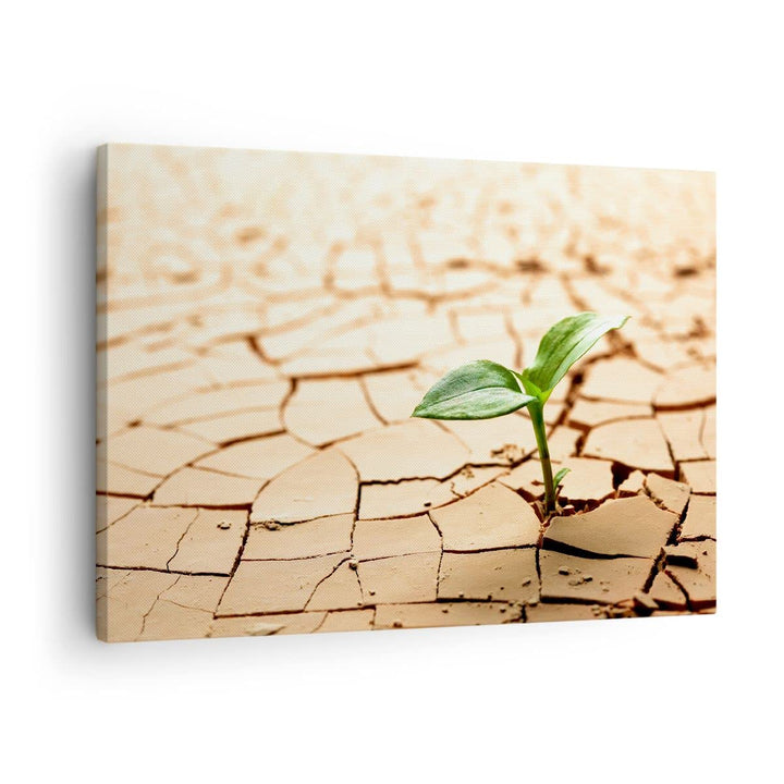 Bilder auf Leinwand Wüste Erde Umwelt Leinwandbild mit Rahmen 70x50cm Wandbilder Dekoration Wohnzimm
