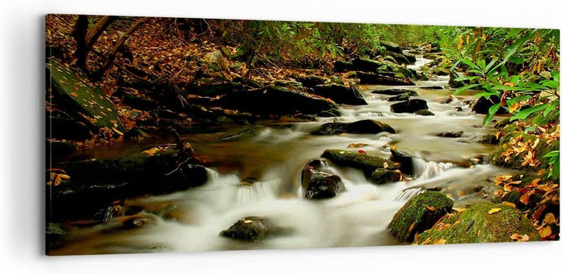 Wandbilder Dekoration Wohnzimmer Bäume Strom Felsen Panorama Bilder auf Leinwand 120x50cm Leinwandbi