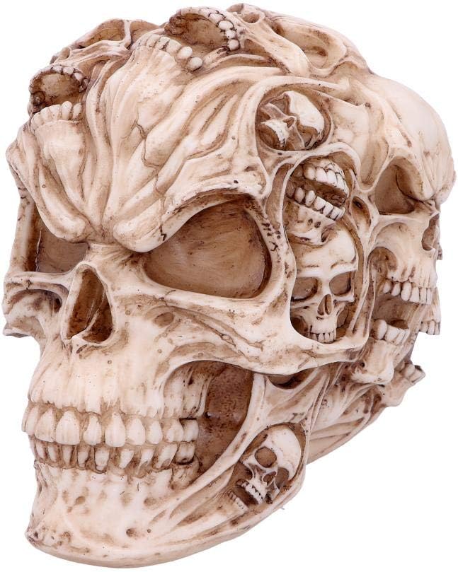 Nemesis Now Skulls James Ryman Totenkopf, 18 cm, elfenbeinfarben