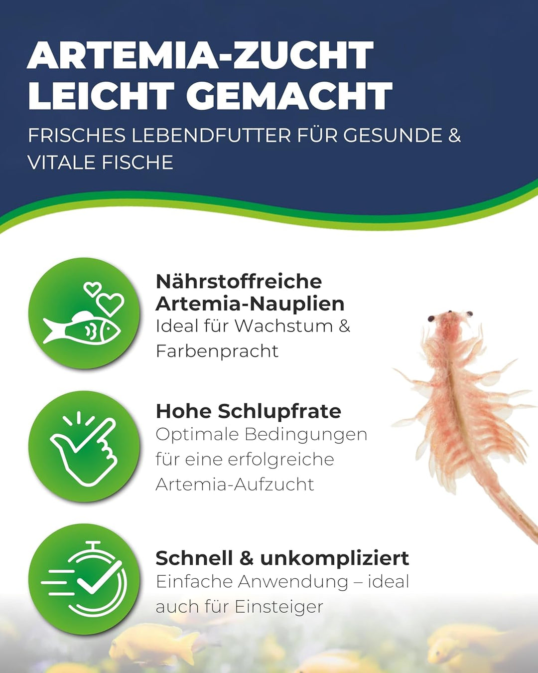 Hobby 21900 Artemia Incubator Set