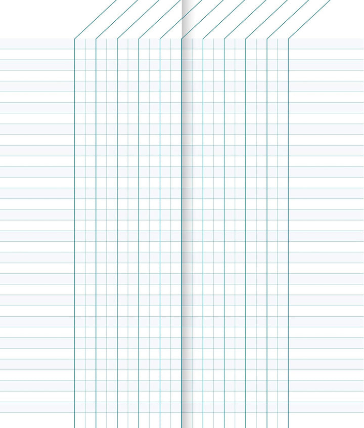 Clairefontaine 3529C - Packung mit 10 Klassenheften 8,5x20cm, 32 Blatt, 110g Grün mit Rand, mikroper
