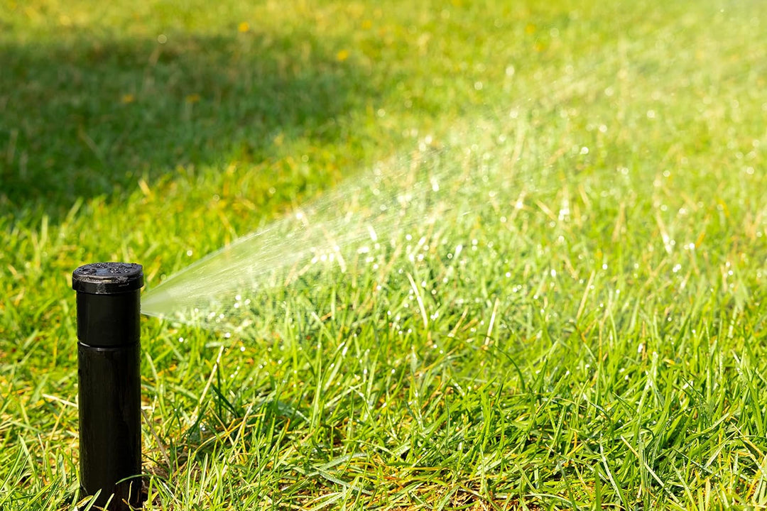 Rain Bird 32HE In-Ground Pro Rotor Pop-Up Sprinklersystem Kit mit Click-N-Go Gartenschlauchanschluss