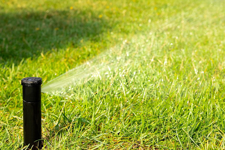 Rain Bird 32HE In-Ground Pro Rotor Pop-Up Sprinklersystem Kit mit Click-N-Go Gartenschlauchanschluss