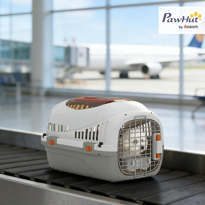 PawHut Transportbox für Katze Miniaturhunde bis 4kg 49x32x31cm Hellgrau | Hundetransportbox, Hundebo