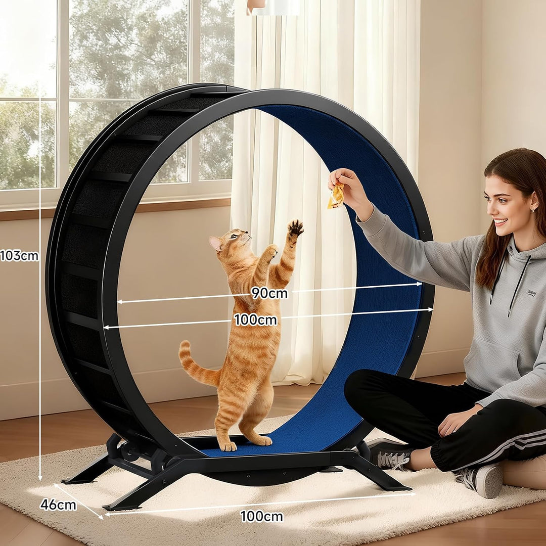 GTPLAYER Katzenlaufrad, laufrad Katze, Extra grosser 100 cm, ultraleises Laufrad mit Abnehmbarer Tep