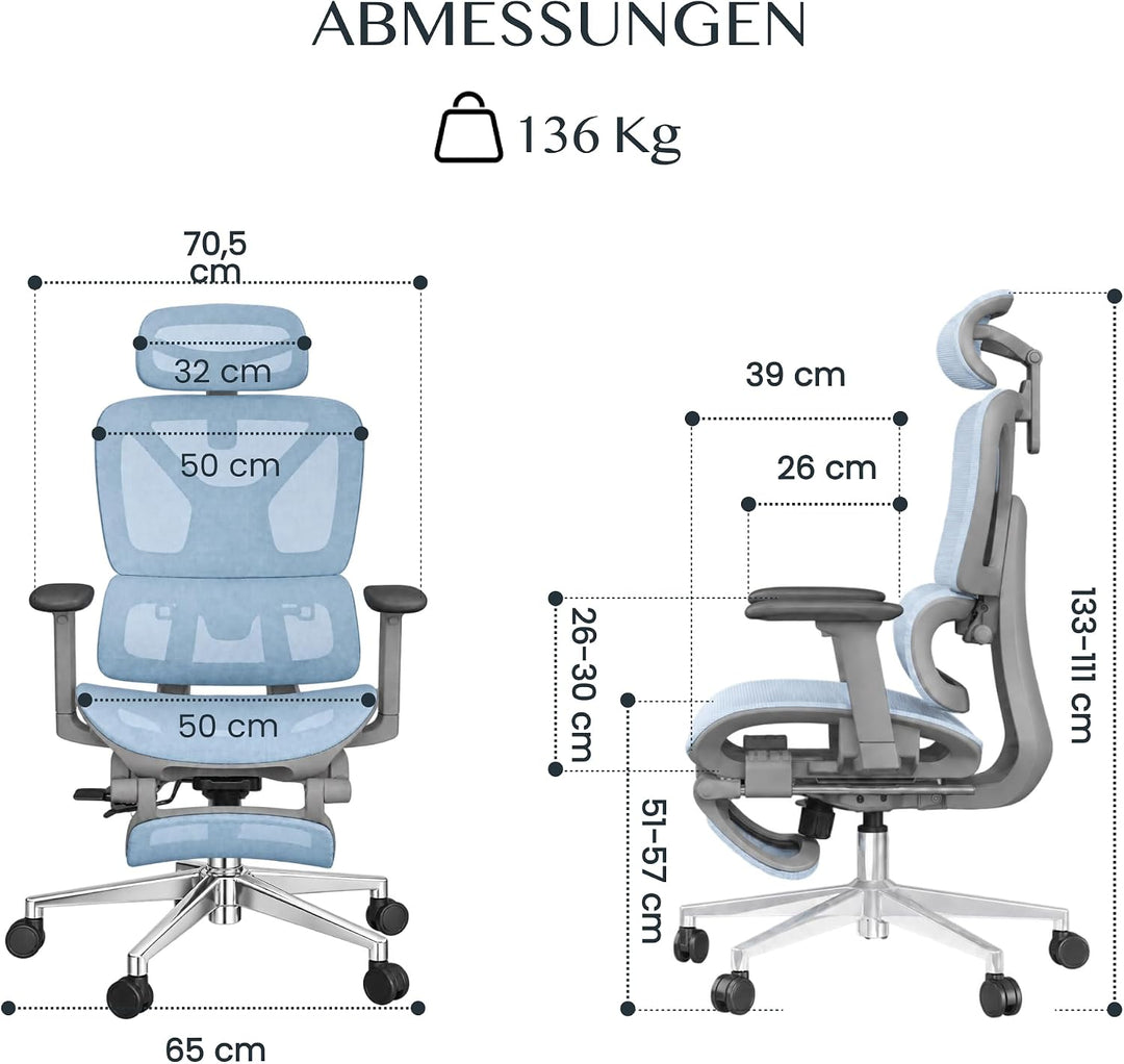 FLEXISPOT Ergonomischer Bürostuhl ErgoX Blau M2 (Blau), M2 (Blau)
