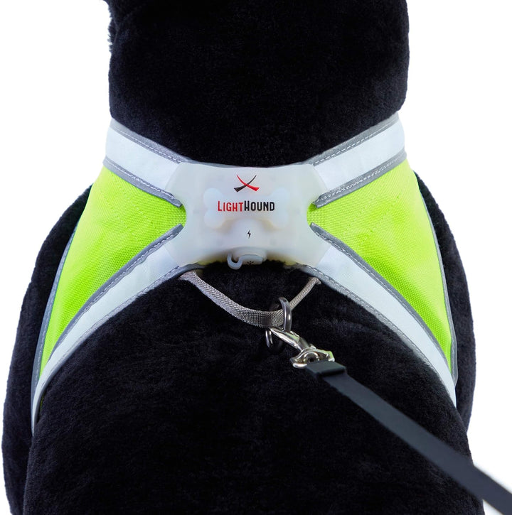 noxgear LightHound – Revolutionäres beleuchtetes und reflektierendes Geschirr für Hunde, inklusive m