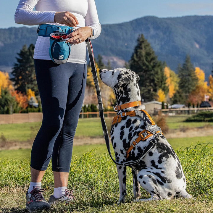 Kurgo Go Stuff-It Futterbeutel, Hält Hunde-Leckerlis frisch, Ideal für Hundetrainings, 11 cm breite