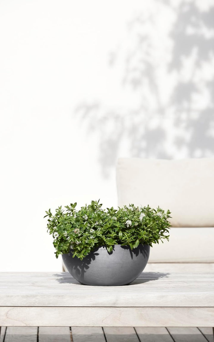 ECOPOTS Pflanzschale Blumentopf Brüssel Grau - Durchmesser Ø 30 cm rund gross - Pflanzentopf aus Rec