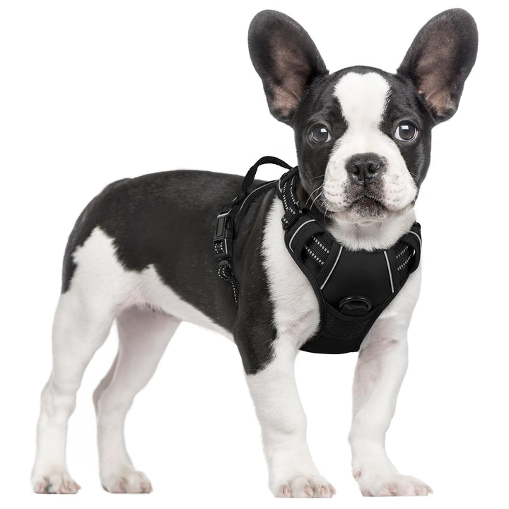 rabbitgoo Hundegeschirr Mittelgrosse Hunde, Anti Zug Geschirr mit Kontrolle, No Pull Verstellbar Hun