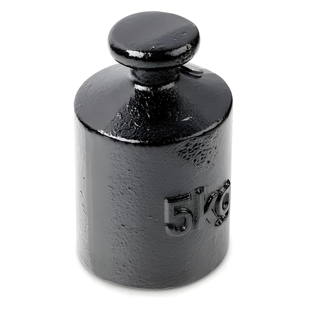 Kern 366-96 Einzelgewicht, Zylinderform, Gusseisen, lackiert, 1 Stück