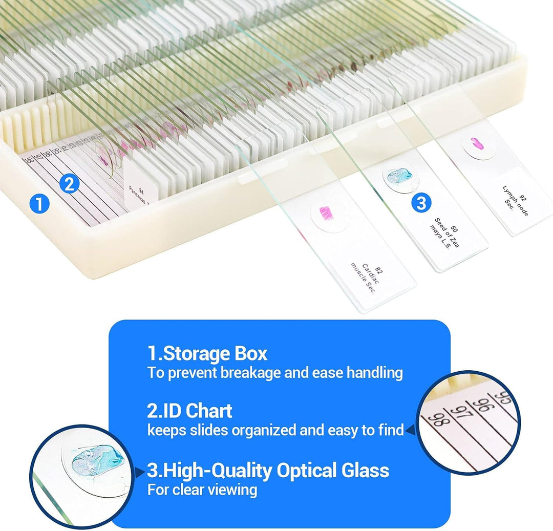 USCAMEL 100 Mikroskop Objektträger, 100 vorbereitete Mikroskop-Objektträger mit Exemplaren für Kinde