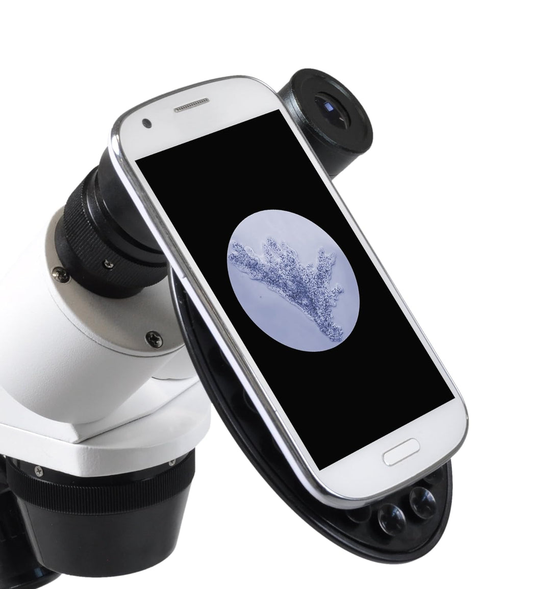 Bresser 3D Stereo Auflicht- Durchlicht Mikroskop Erudit ICD 20x und 40x Vergrösserung, LED Beleuchtu