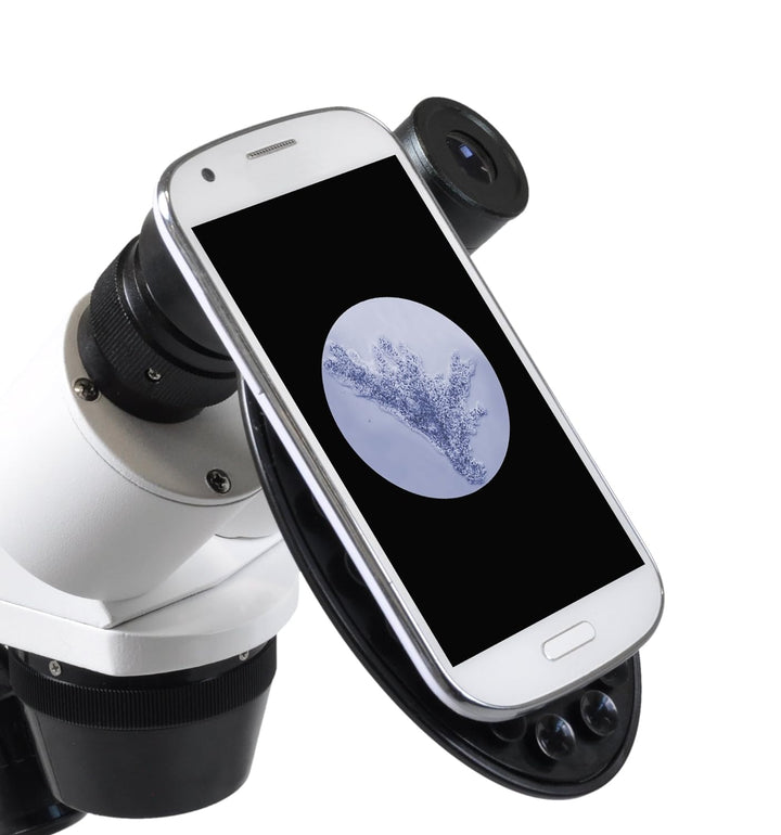 Bresser 3D Stereo Auflicht- Durchlicht Mikroskop Erudit ICD 20x und 40x Vergrösserung, LED Beleuchtu